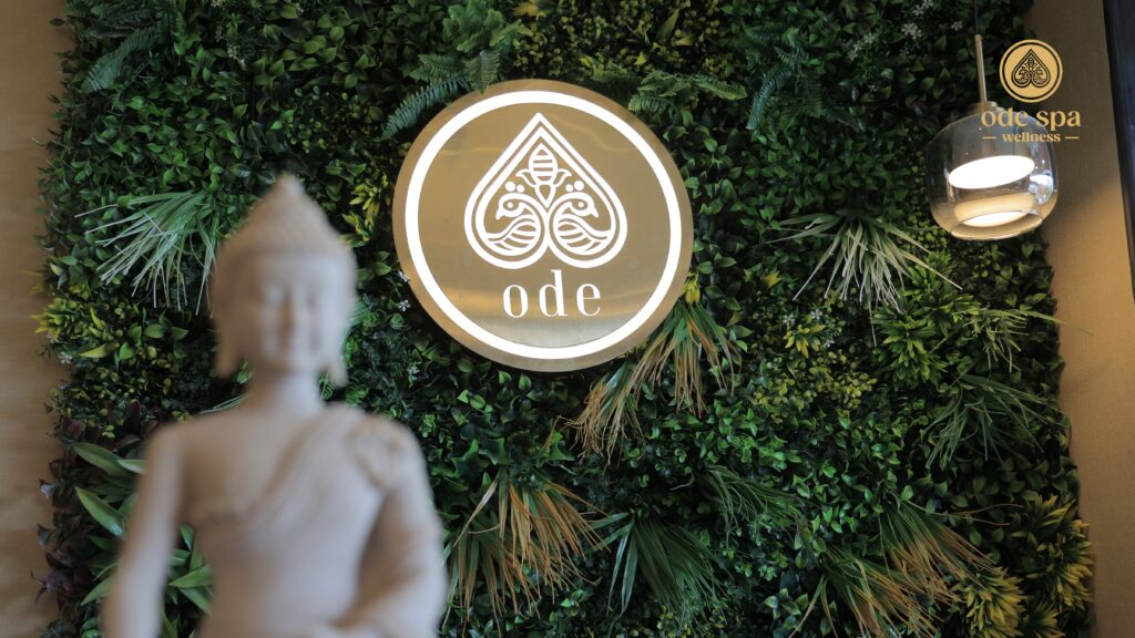 Bringing Wellness Closer to You: New Store Openings!